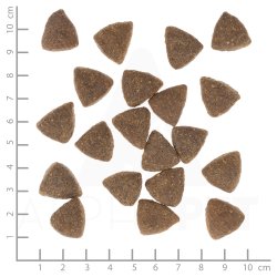 Wolfsblut Dark Forest Adult Store Hunde, 12,5 kg - Vildt 