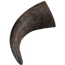 Bffel Horn - Stk.