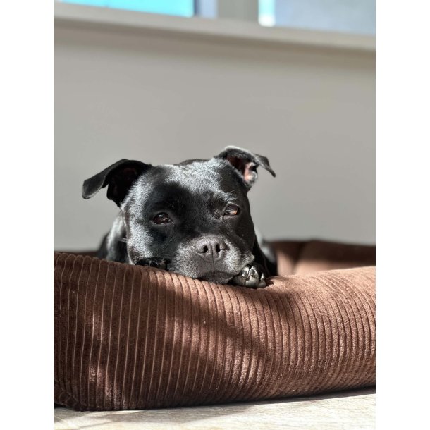 Petlando - Luke Ortho Hundeseng, M�rkebrun Fl�jl