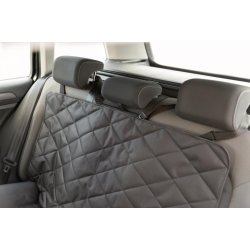 Bilsdehynde, dobbelt