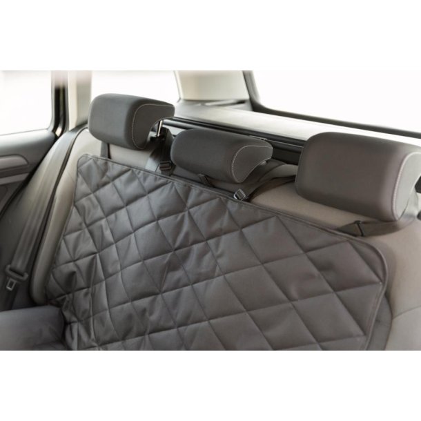 Bilsdehynde, dobbelt