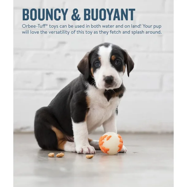 Planet Dog OrbeeBall &#150; Hvid/Orange