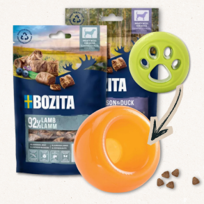 Aktiveringspakke: Snackjagt