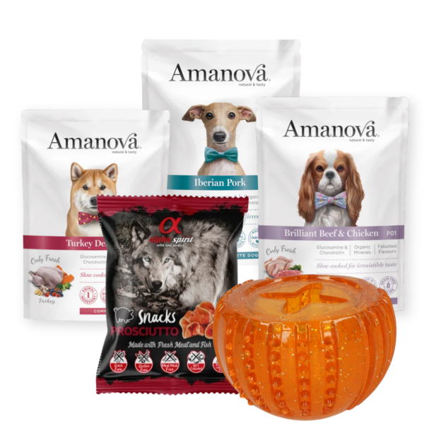 Aktiveringspakke, LockerLeg, Orange