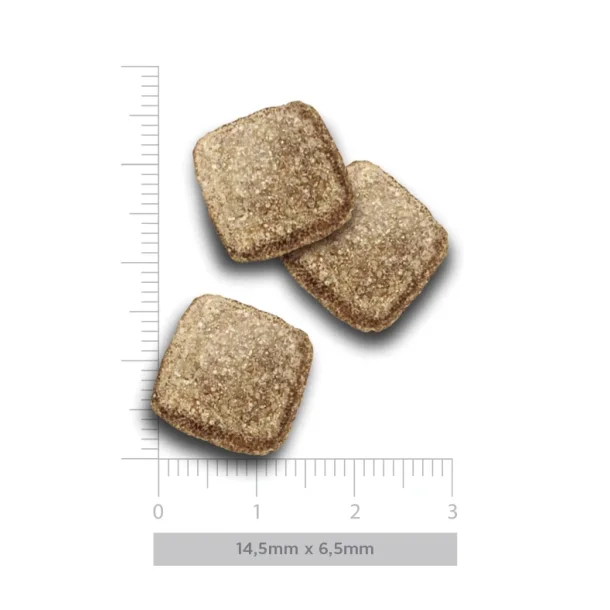 Amanova - Delikat Fisk, Senior hundefoder