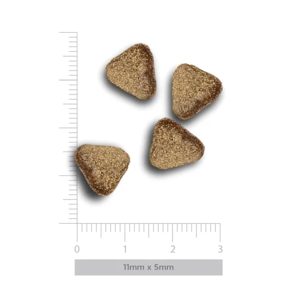 Amanova - Iberico Gris, Kornfrit voksen hundefoder til sm� hunde