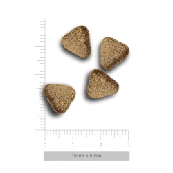 Amanova - Luksus Laks Sensitive - Kornfrit voksen hundefoder til sm� hunde