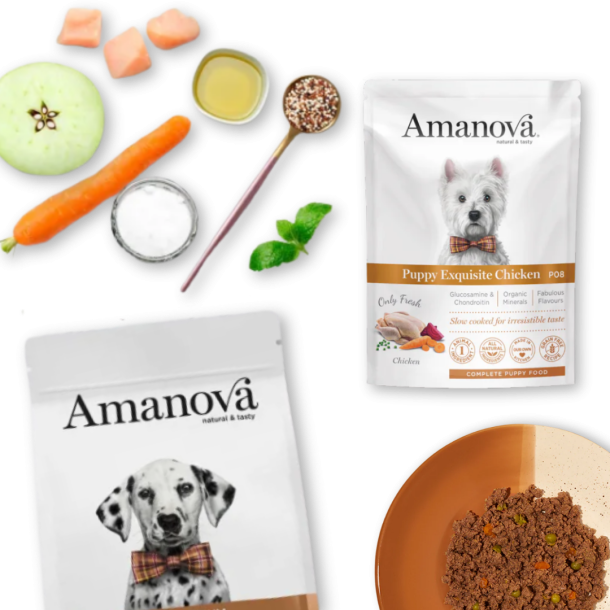 Hvalpefoder pakke til mellemstore hunde, Uds�gt kylling 