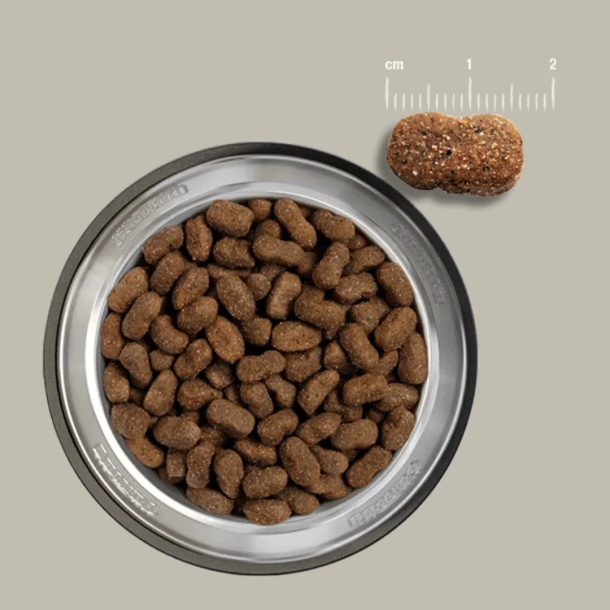 Belcando Adult GF Hest - Str. S-XL