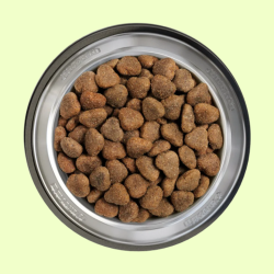 Belcando Adult GF Kylling - Adult, Str: M-XL