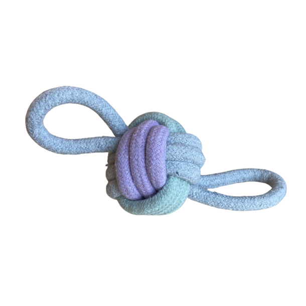 Hvalpe/junior reb leget�j