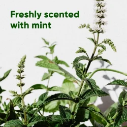 Beco - Recycled Mint Poop Bags m. h�ndtag, 120 stk.