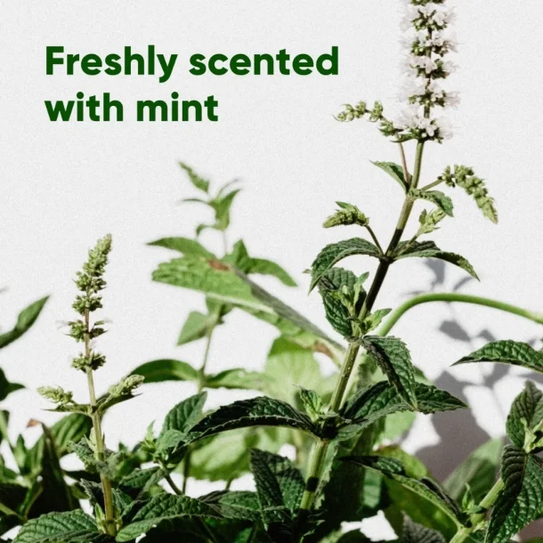 Beco - Recycled Mint Poop Bags m. h�ndtag, 120 stk.