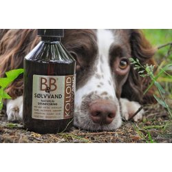 B&B Slvvand - 250ml.