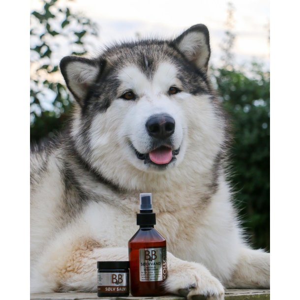 B&B Slvvand - 250ml.