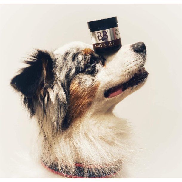 B&B Slvsalve - 60ml.