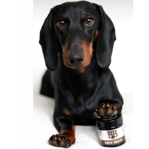 B&B Slvsalve - 60ml.
