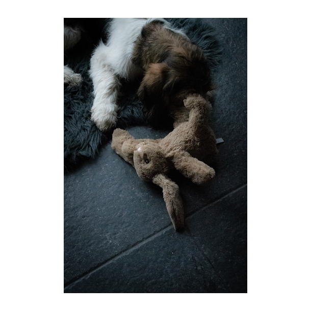 Beroligende hundebamse bunny m. hjerteslag 