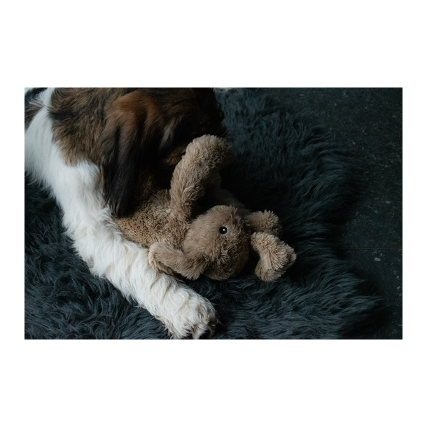 Beroligende hundebamse bunny m. hjerteslag 