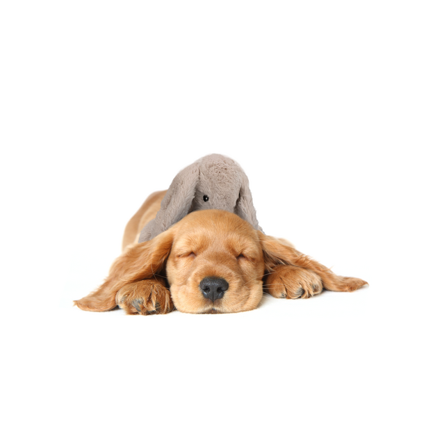 Beroligende hundebamse bunny m. hjerteslag 