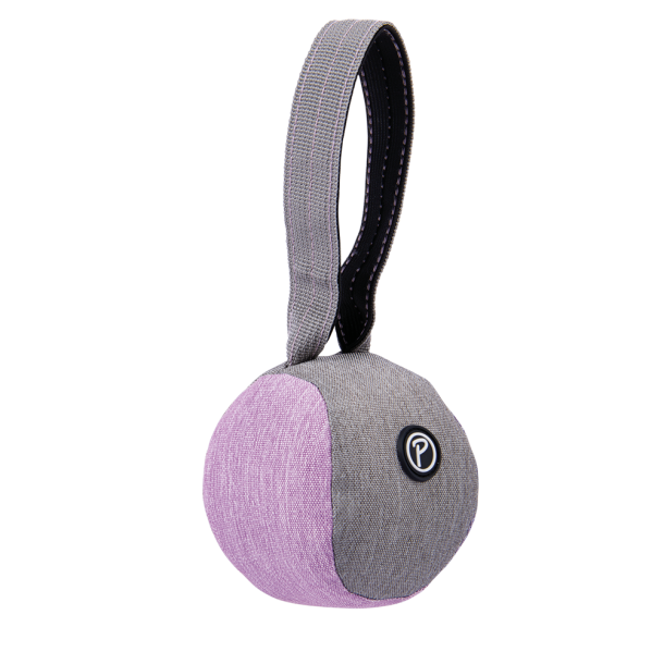 Everest Wurfball, Kastebold - Lilla