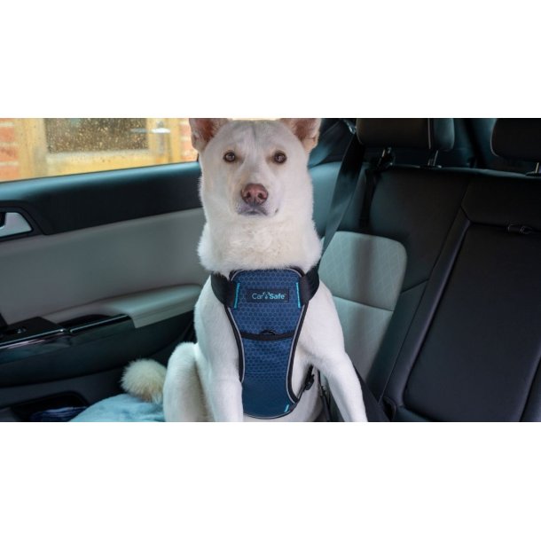 CarSafe Crash Tested Hundesele