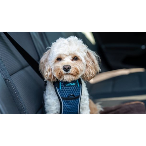 CarSafe Crash Tested Hundesele