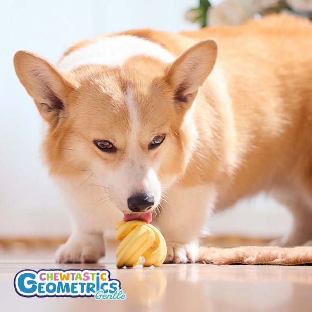 PetDreamHouse - Chewtastic Geometrics Geo-Gem