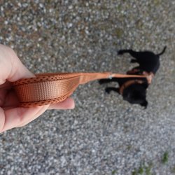 Petlando Justerbar Mesh Hundesnor - Cognac