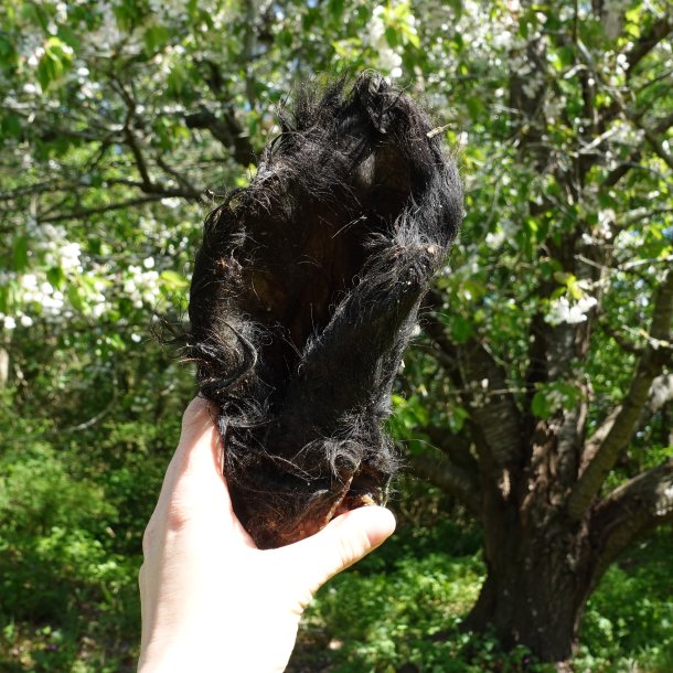 Snack'it Okserer m. Pels 5 stk. 