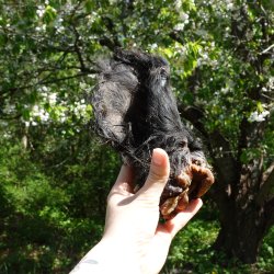 Snack'it Okserer m. Pels 5 stk. 