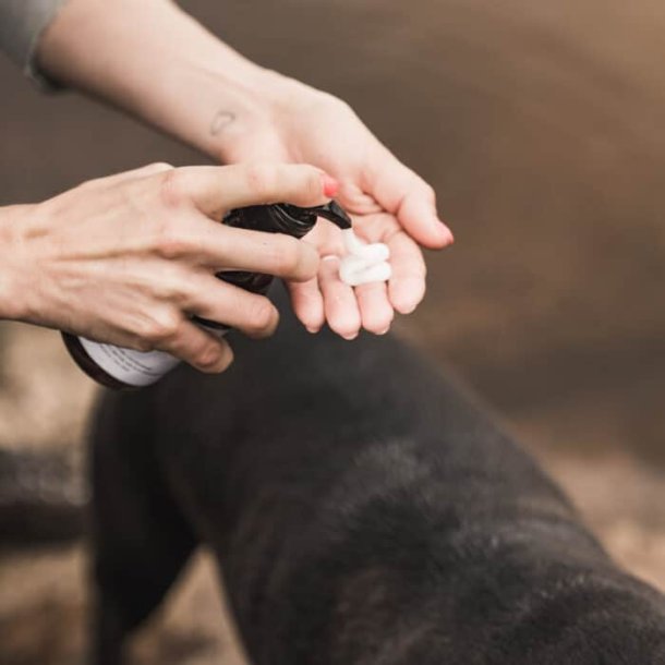 WAP08 - �ko Naturlig Shampoo mod Lugt, 250ML