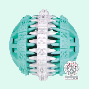 DENTAfun Mintfresh Bold 