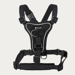 Petlando Basic Comfort Plus Hundesele - Sort 