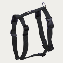 Petlando Basic Comfort Hundesele - Sort 