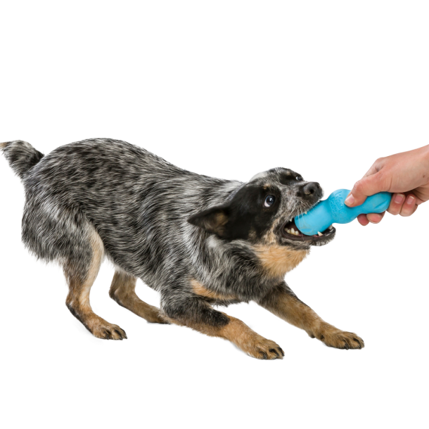 West Paw Rumpus Ultrastrkt legetj