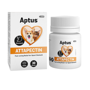 Aptus Attapectin til mave/tarm, Tabletter 30 stk