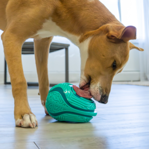 Kong Lick & Reward slikkemtte g