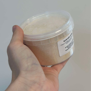 Gulerodspulver - 100g