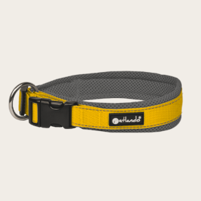 Petlando Outdoor Hundehalsbnd - Gul/gr