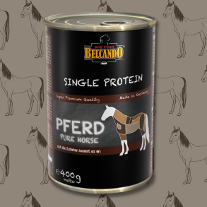 Belcando SP dsemad med hest