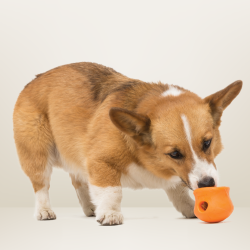 West Paw Toppl Aktivitetslegetj