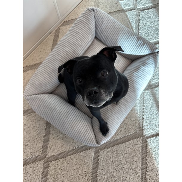 Gent Premium Hundeseng - S�lvgr�