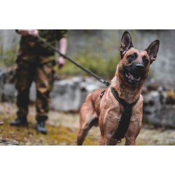 Non-stop Dogwear Line harness grip defense - Grn