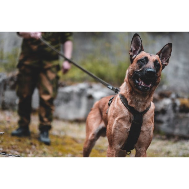 Non-stop Dogwear Line harness grip defense - Grn