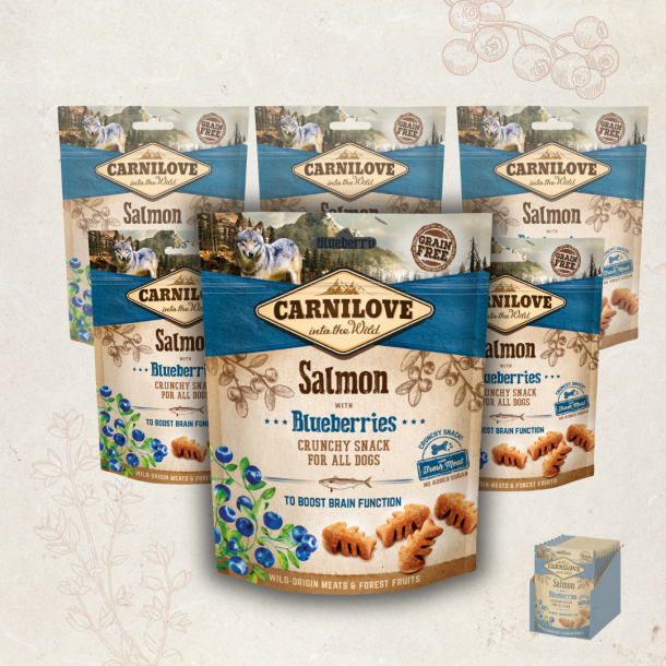 Favoritpakke - Carnilove Crunchy Snack, Laks &amp; Blåbær - 6 x 200 gram