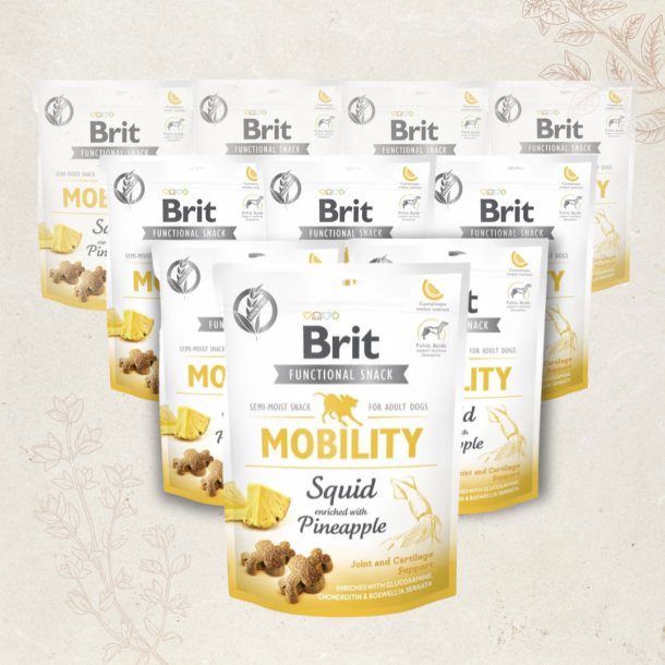 Favoritpakke - Brit Care Functional Mobility, Blksprutte &amp; Ananas - 10 x 150 g