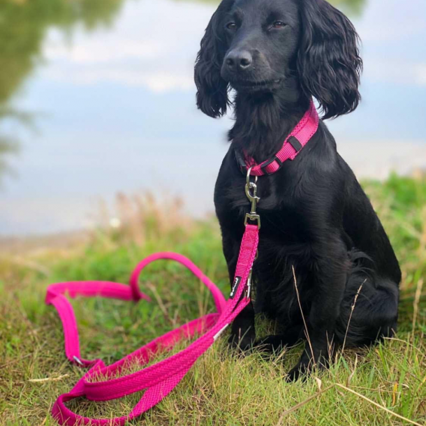 Petlando Justerbar Mesh Hundesnor - Fuchsia