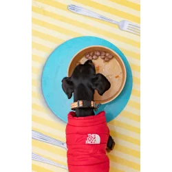 Harper &amp; Bone - Wild Mountain Meatballs - 300 g