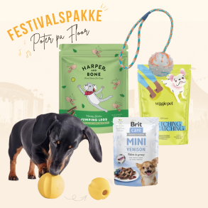 Festivalspakke - Poter p� Floor
